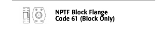 NPTF Block Flange - Code Flange 61 (Block Only)