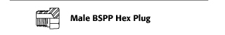 Male BSPP Hex Plug